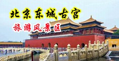 插骚逼喷浆中国北京-东城古宫旅游风景区